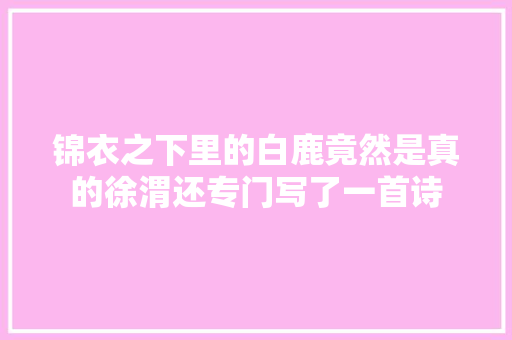 锦衣之下里的白鹿竟然是真的徐渭还专门写了一首诗