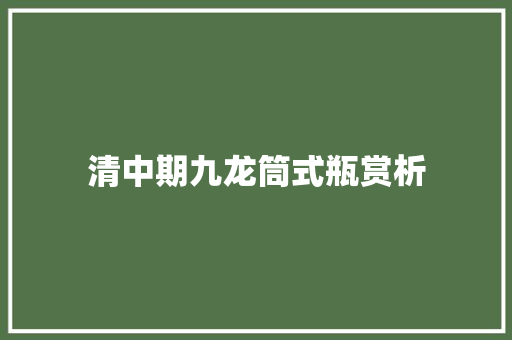 清中期九龙筒式瓶赏析
