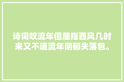 诗词叹流年但屈指西风几时来又不道流年阴郁失落包。