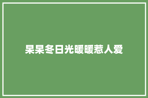 杲杲冬日光暖暖惹人爱