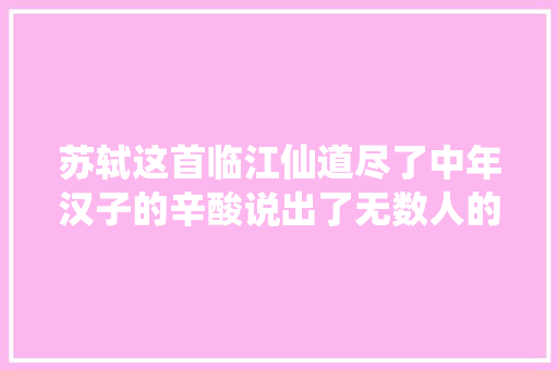 苏轼这首临江仙道尽了中年汉子的辛酸说出了无数人的心愿