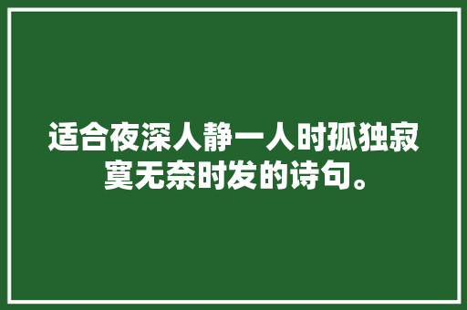 适合夜深人静一人时孤独寂寞无奈时发的诗句。