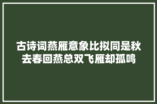 古诗词燕雁意象比拟同是秋去春回燕总双飞雁却孤鸣