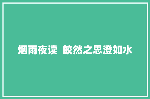 烟雨夜读  皎然之思澄如水