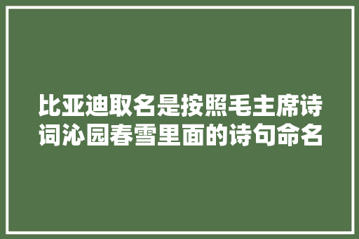 比亚迪取名是按照毛主席诗词沁园春雪里面的诗句命名朝代的。