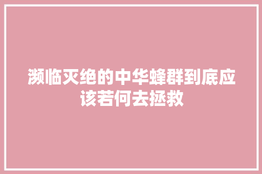 濒临灭绝的中华蜂群到底应该若何去拯救