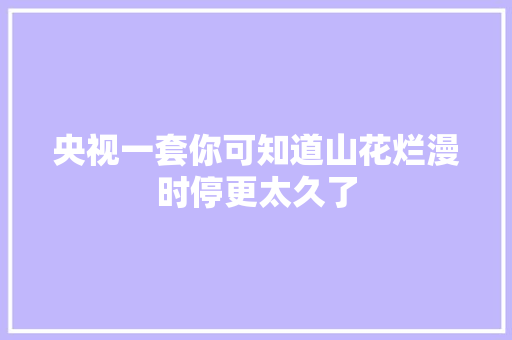 央视一套你可知道山花烂漫时停更太久了