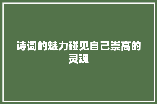 诗词的魅力碰见自己崇高的灵魂