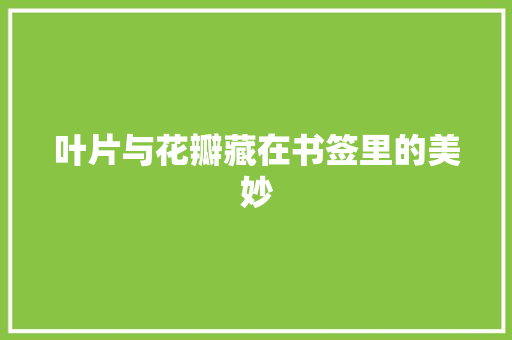 叶片与花瓣藏在书签里的美妙