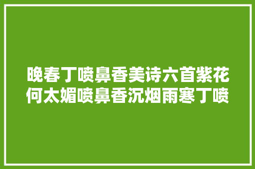 晚春丁喷鼻香美诗六首紫花何太媚喷鼻香沉烟雨寒丁喷鼻香从小结