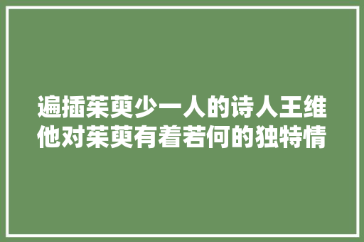 遍插茱萸少一人的诗人王维他对茱萸有着若何的独特情怀呢