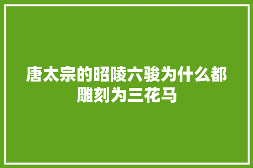 唐太宗的昭陵六骏为什么都雕刻为三花马
