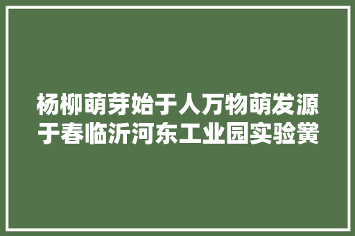 杨柳萌芽始于人万物萌发源于春临沂河东工业园实验黉舍少先队植树节手抄报展示活动