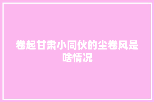 卷起甘肃小同伙的尘卷风是啥情况