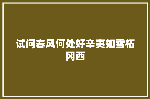 试问春风何处好辛夷如雪柘冈西