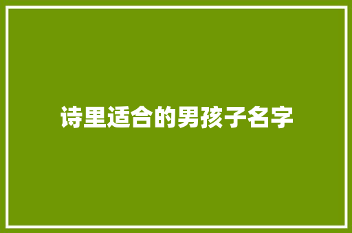 诗里适合的男孩子名字