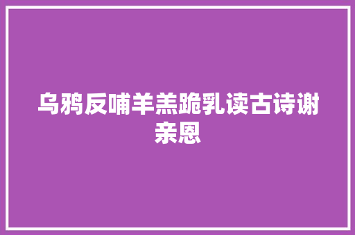 乌鸦反哺羊羔跪乳读古诗谢亲恩