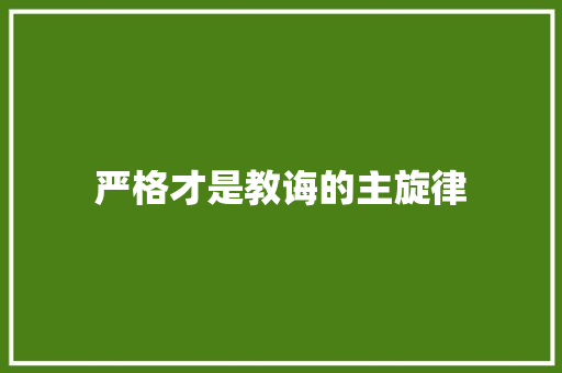 严格才是教诲的主旋律
