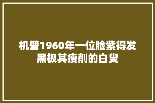 机警1960年一位脸紫得发黑极其瘦削的白叟