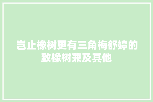 岂止橡树更有三角梅舒婷的致橡树兼及其他