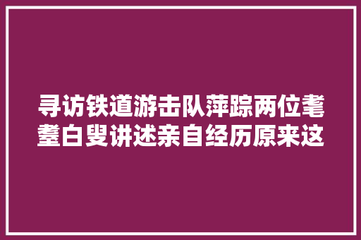 寻访铁道游击队萍踪两位耄耋白叟讲述亲自经历原来这才是铁道游击队最惊人的秘密