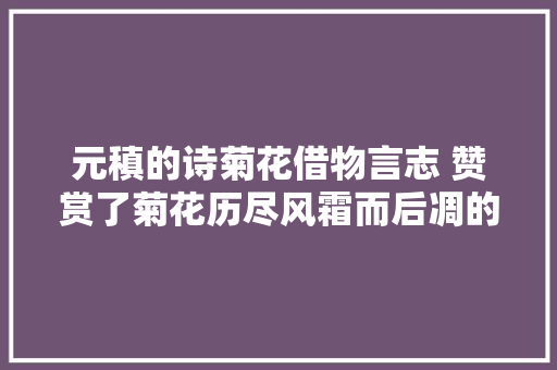 元稹的诗菊花借物言志 赞赏了菊花历尽风霜而后凋的刚毅品格