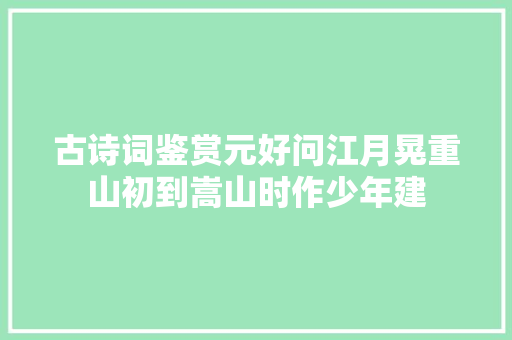 古诗词鉴赏元好问江月晃重山初到嵩山时作少年建