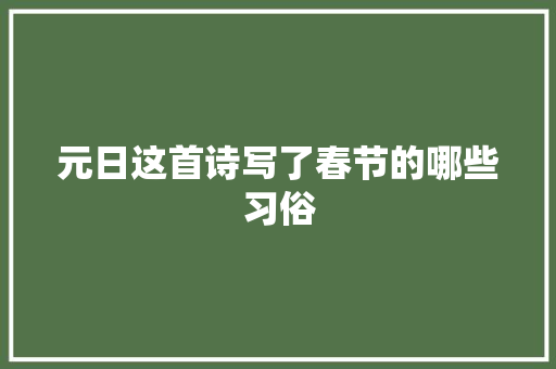 元日这首诗写了春节的哪些习俗