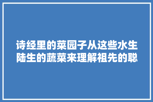 诗经里的菜园子从这些水生陆生的蔬菜来理解祖先的聪慧