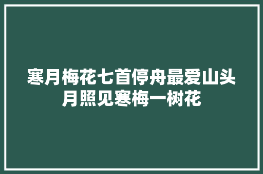 寒月梅花七首停舟最爱山头月照见寒梅一树花