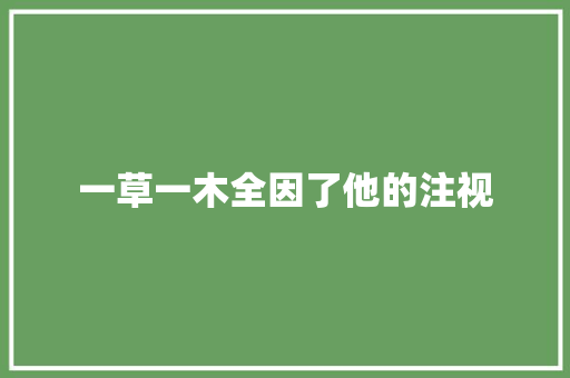 一草一木全因了他的注视