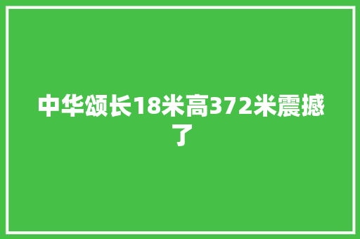 中华颂长18米高372米震撼了 中华颂长18米高372米震撼了