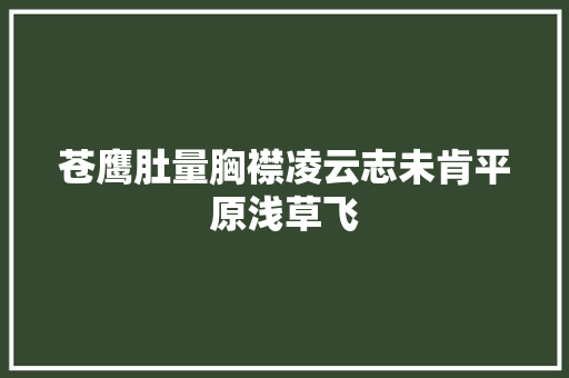 苍鹰肚量胸襟凌云志未肯平原浅草飞