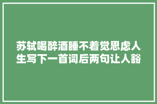 苏轼喝醉酒睡不着觉思虑人生写下一首词后两句让人豁然开朗