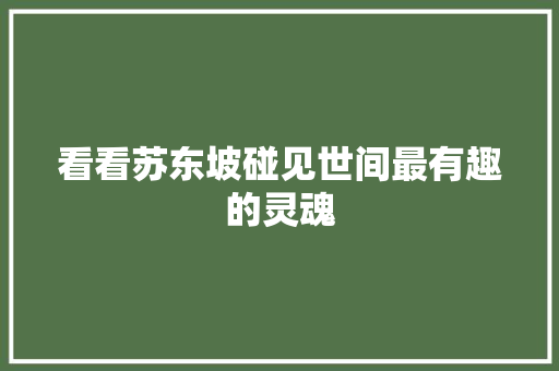 看看苏东坡碰见世间最有趣的灵魂