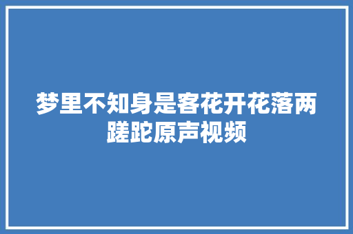 梦里不知身是客花开花落两蹉跎原声视频