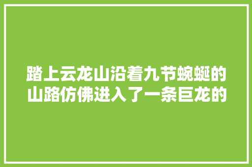 踏上云龙山沿着九节蜿蜒的山路仿佛进入了一条巨龙的怀抱。