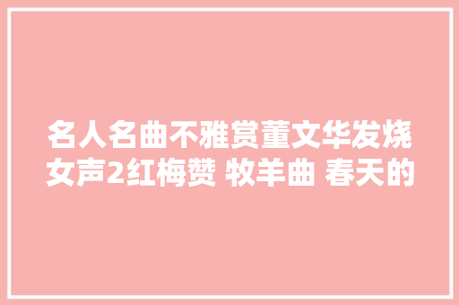 名人名曲不雅赏董文华发烧女声2红梅赞 牧羊曲 春天的故事