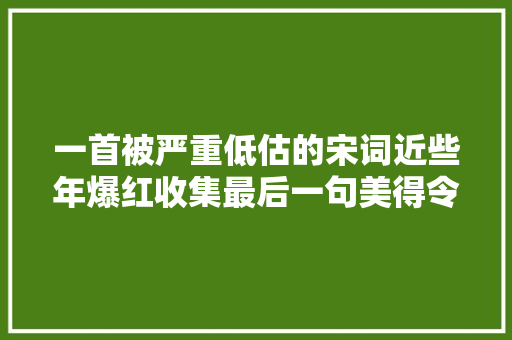 一首被严重低估的宋词近些年爆红收集最后一句美得令人惊艳
