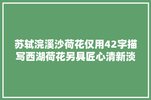 苏轼浣溪沙荷花仅用42字描写西湖荷花另具匠心清新淡雅