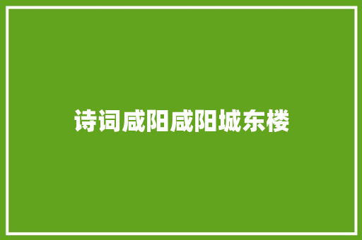 诗词咸阳咸阳城东楼