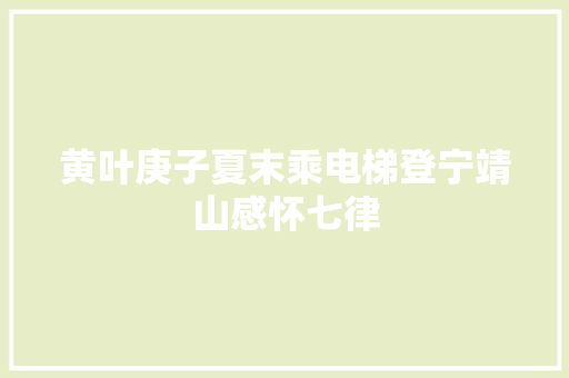 黄叶庚子夏末乘电梯登宁靖山感怀七律