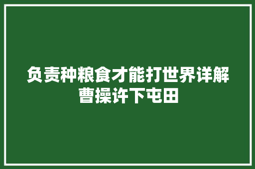 负责种粮食才能打世界详解曹操许下屯田