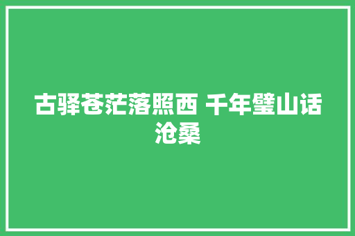古驿苍茫落照西 千年璧山话沧桑