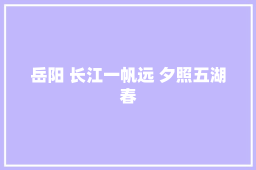 岳阳 长江一帆远 夕照五湖春