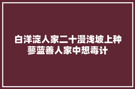 白洋淀人家二十漫浅坡上种蓼蓝善人家中想毒计