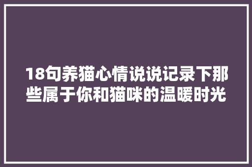 18句养猫心情说说记录下那些属于你和猫咪的温暖时光