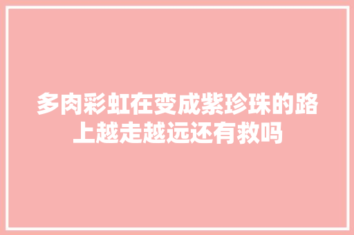 多肉彩虹在变成紫珍珠的路上越走越远还有救吗 多肉彩虹在变成紫珍珠的路上越走越远还有救吗