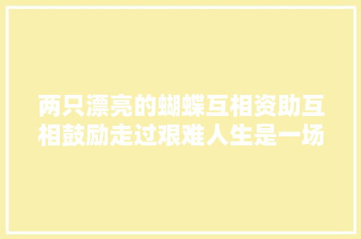 两只漂亮的蝴蝶互相资助互相鼓励走过艰难人生是一场修行