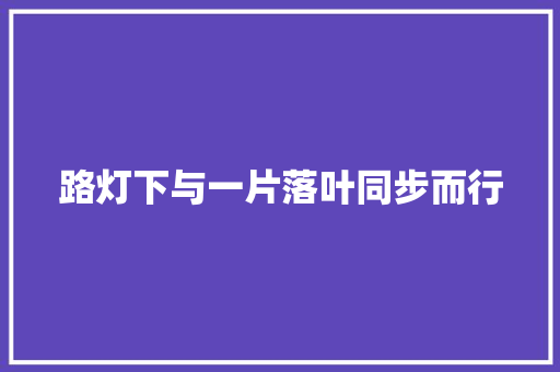 路灯下与一片落叶同步而行 路灯下与一片落叶同步而行